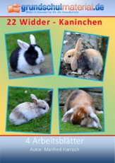 Widder-Kaninchen.pdf
